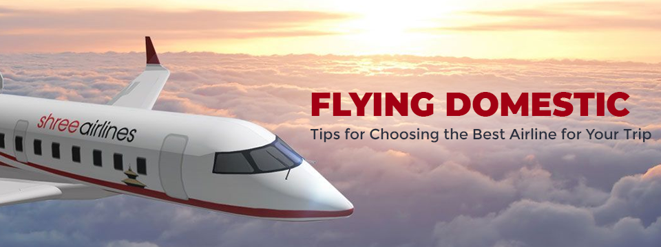 Flying Domestic: Tips for Choosing the Best Airline for Your Trip